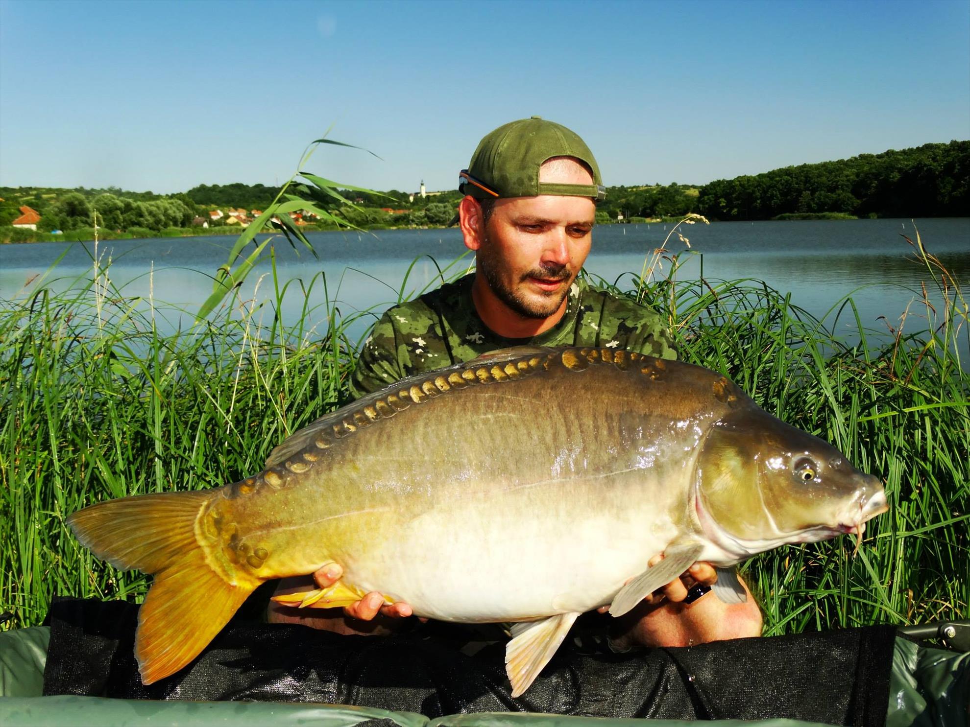 15-17.05.2015 - 1106130016929544642698166455615088804886714o.jpg